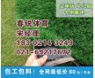 江陰足球場人造草坪施工材料承建