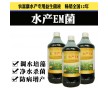 釣魚塘水黑水混就用水產(chǎn)菌液調(diào)水