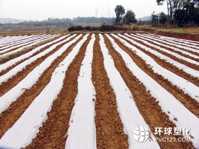 農用地膜致農業(yè)生態(tài)環(huán)境不堪重負